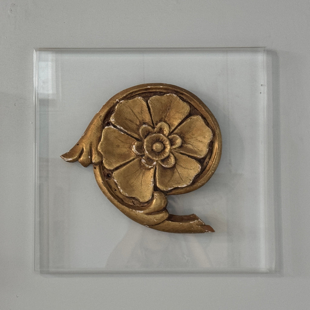 Fragment de fleur dorée sur plaque acrylique