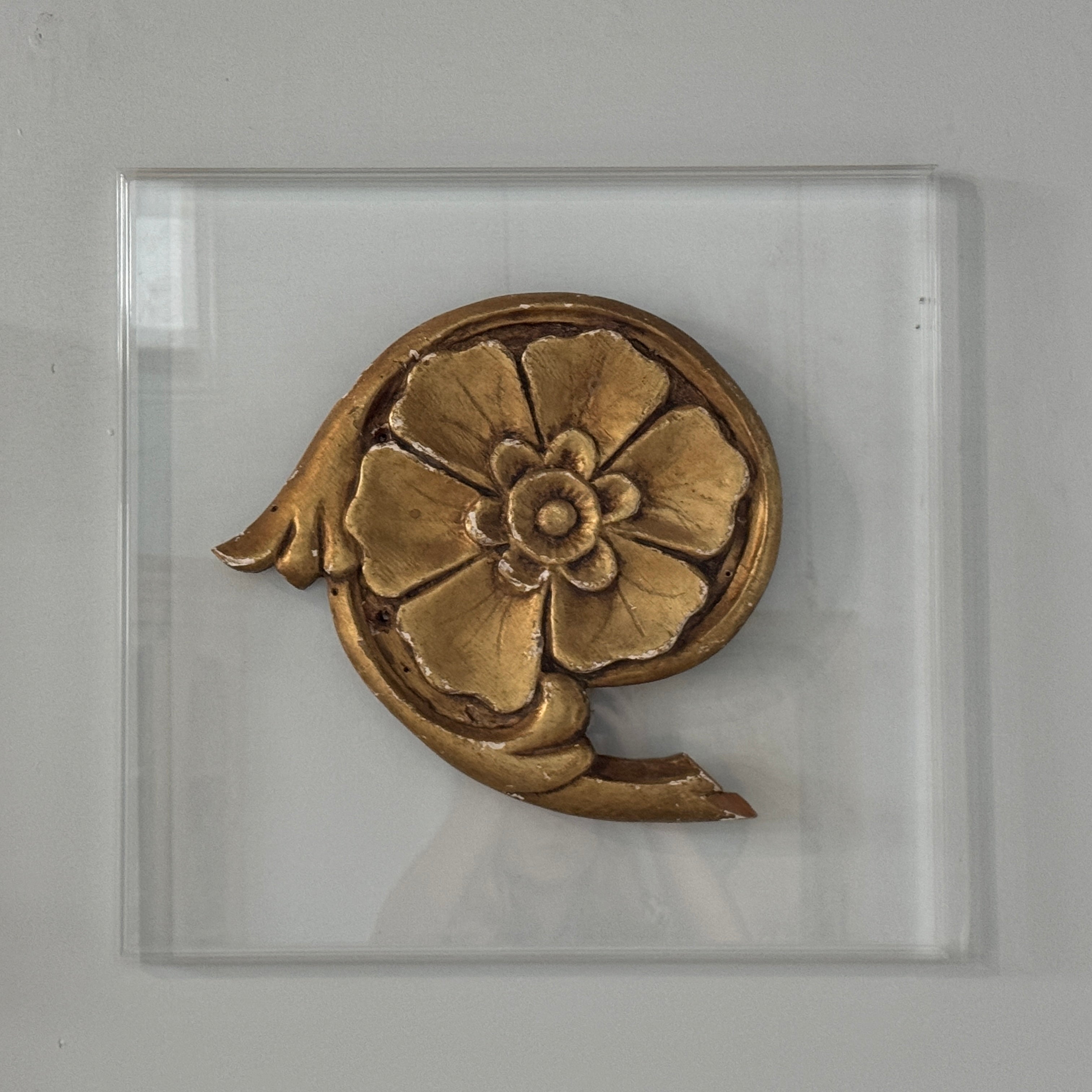 Fragment de fleur dorée sur plaque acrylique