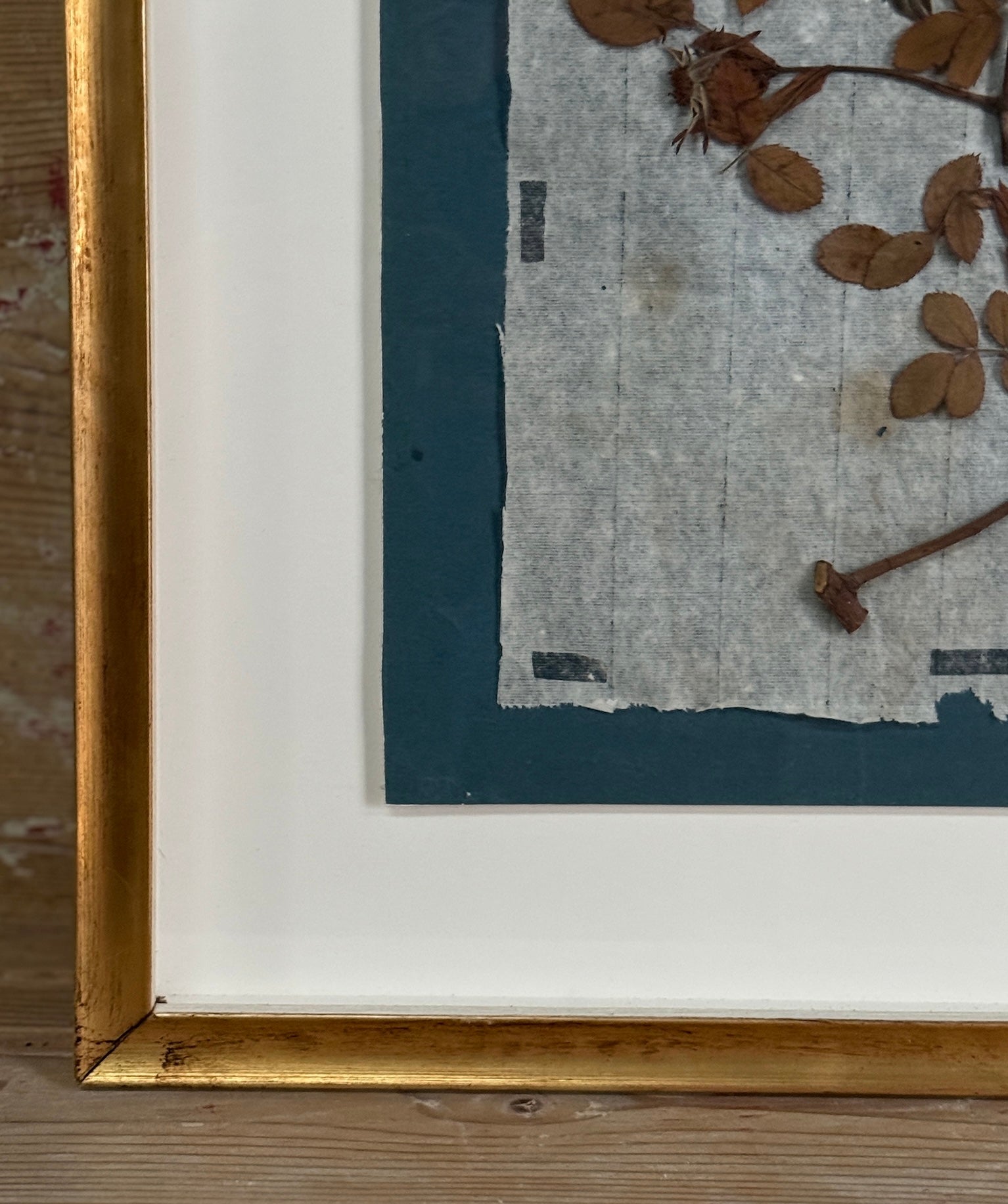 Ensemble de 4 spécimens botaniques français remarquables, pressés au bleu de Prusse, datant du XIXe siècle
